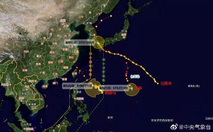 台风最新消息报告，十号台风动态分析更新